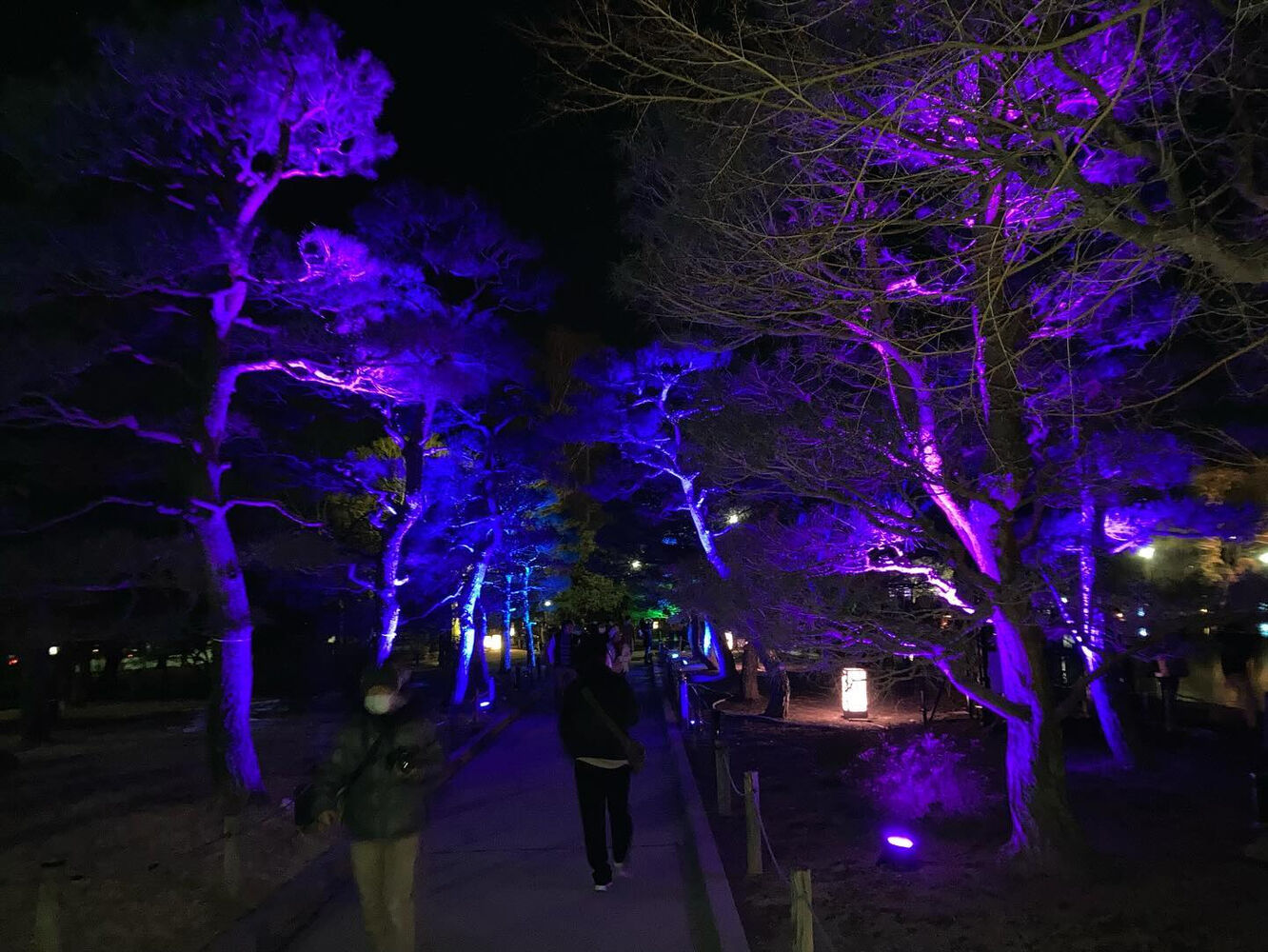 ブログ