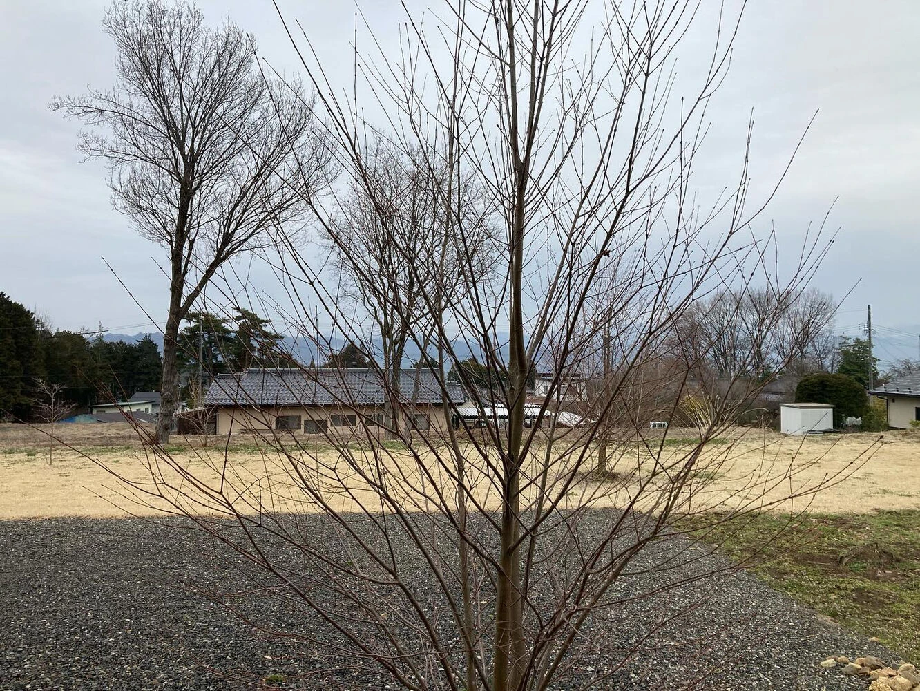 ブログ