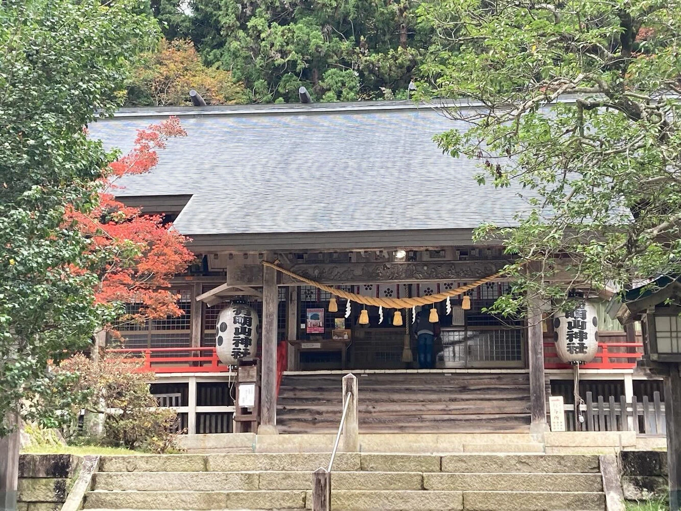 ブログ