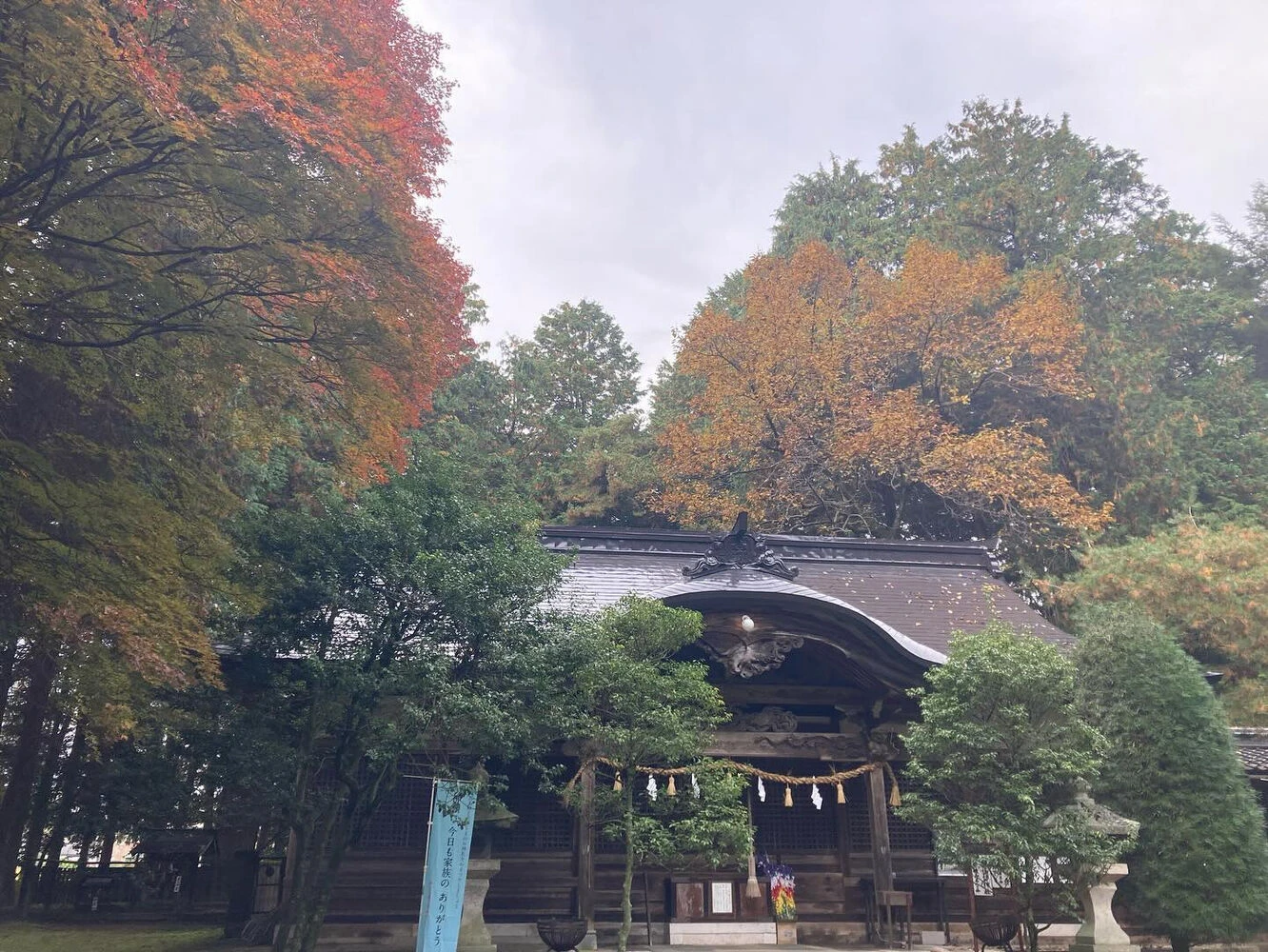 ブログ