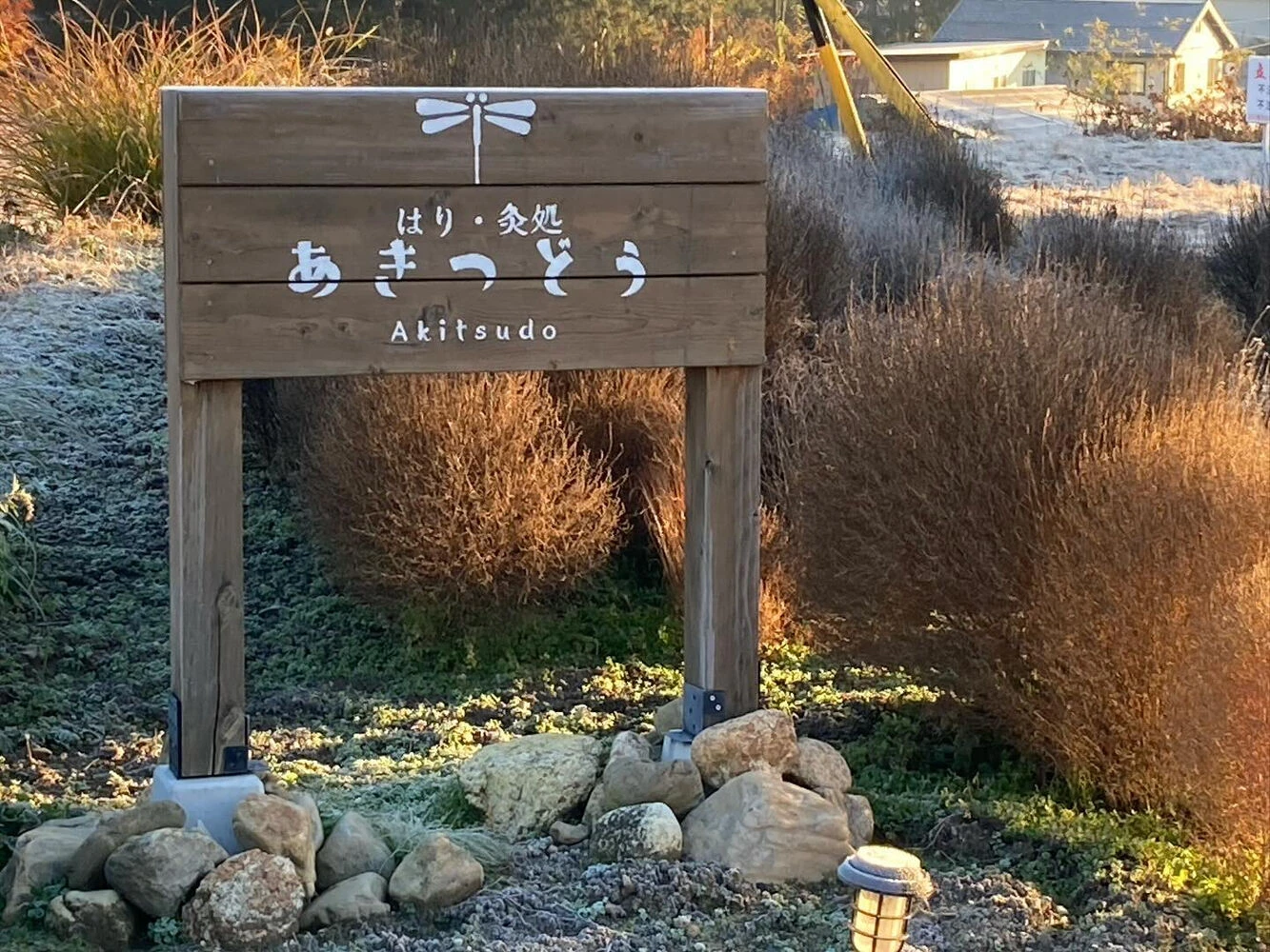 ブログ