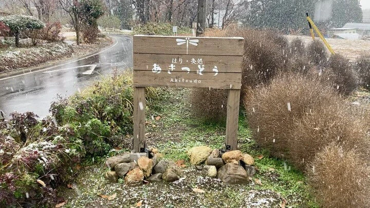 ブログ