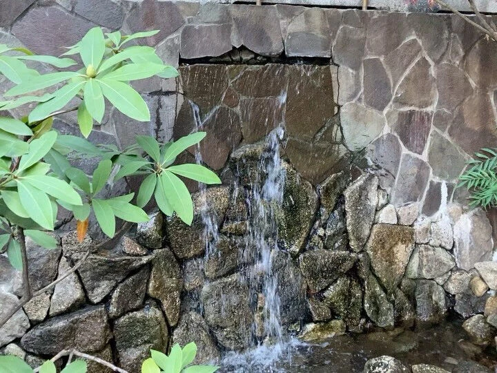ブログ