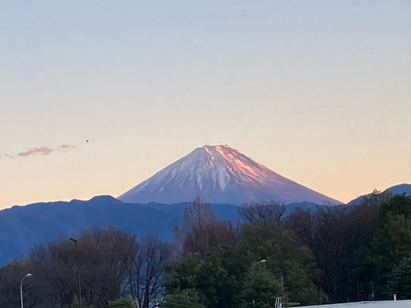 ブログ
