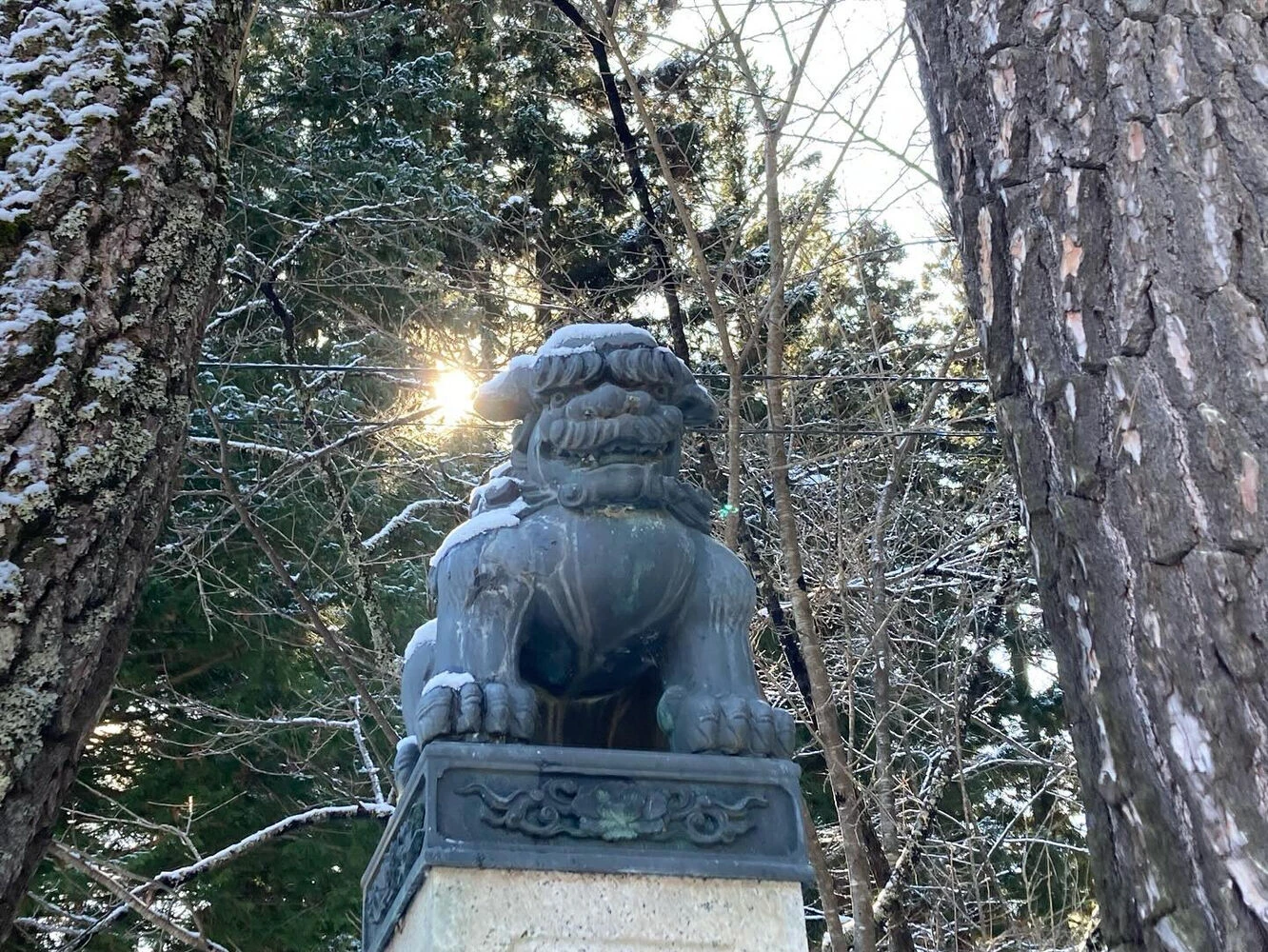 ブログ